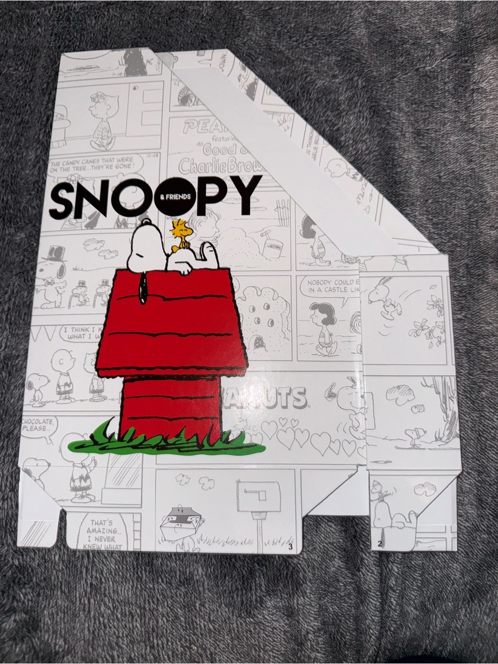 Snoopy Fanhome Collectible